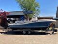 Quicksilver Commander 800